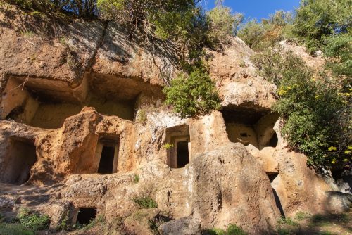 escursioni tuscia viterbese_marturanum_2081207491