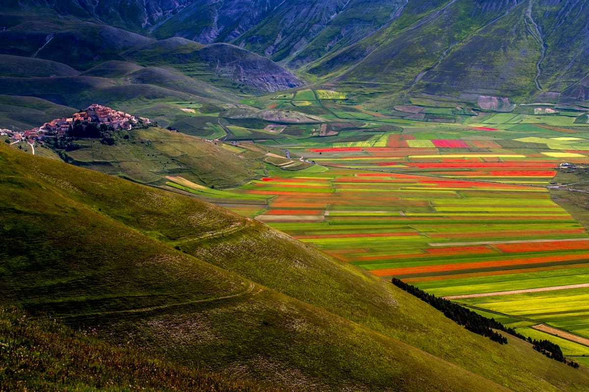 fioritura_castelluccio_di_norcia