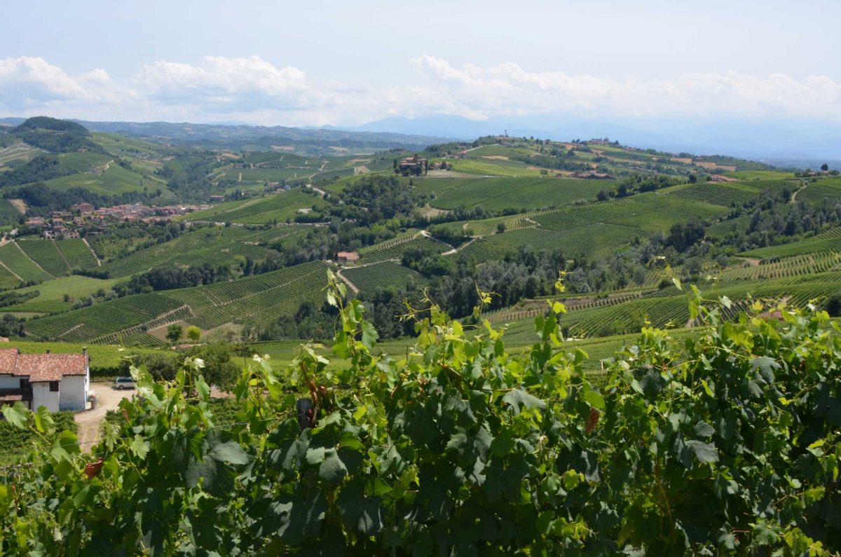 le_langhe