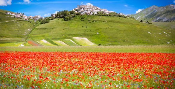 Il trekking da Norcia a Castelluccio, in Umbria