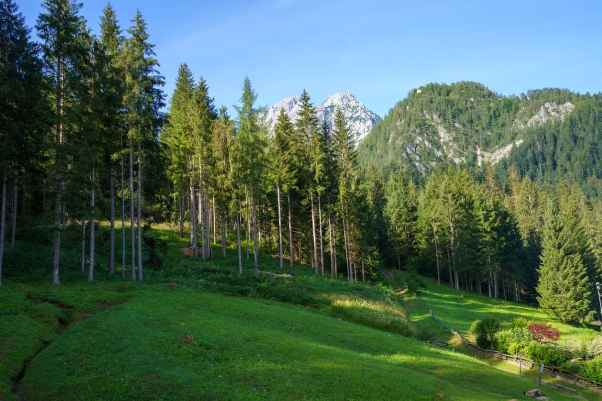 santo_stefano_di_cadore