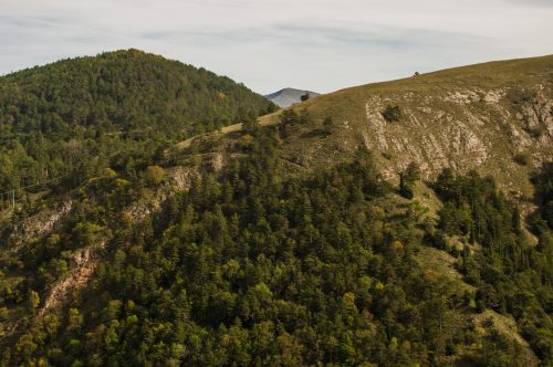 trekking monte subasio_502898182