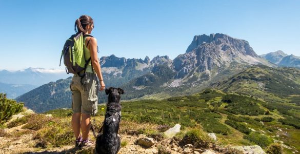 trekking_con_il_cane