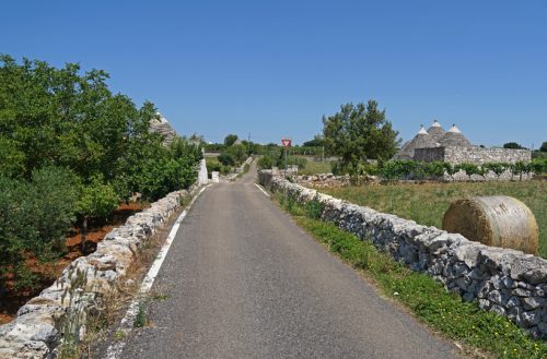 vie dell'olio puglia in bici_1931452796