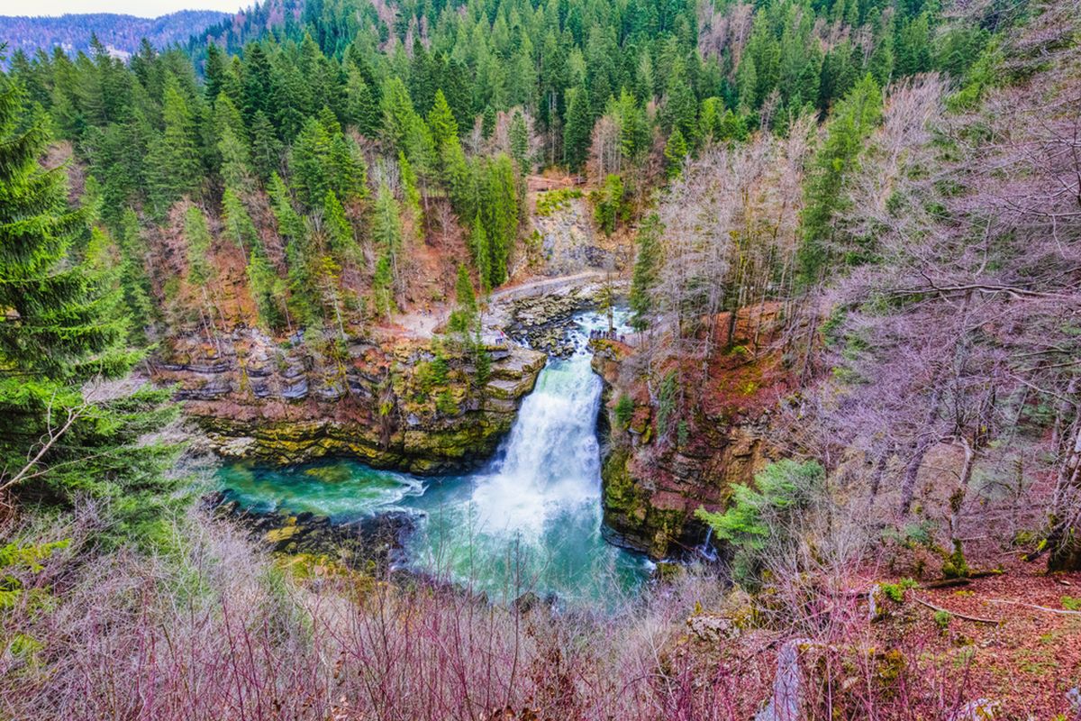 Lungo il fiume più naturale della Svizzera - SWI