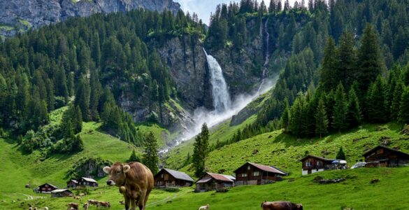 cascate_svizzera