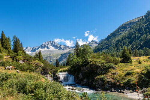 ciclabile_dolomiti_doga_adamello_1335521246