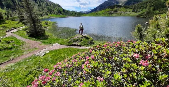 Laghi di Colbricon