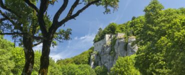 Il Bosco delle fate e il santuario della Verna