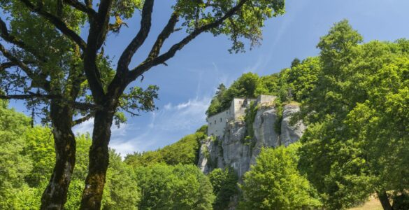 Il Bosco delle fate e il santuario della Verna