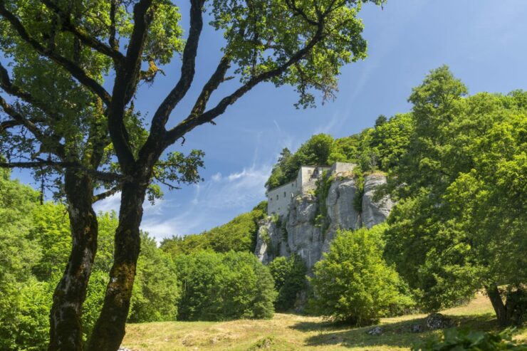 Il Bosco delle fate e il santuario della Verna