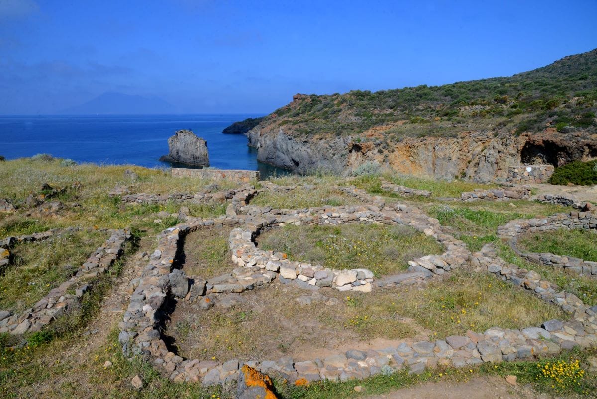 cala_junco