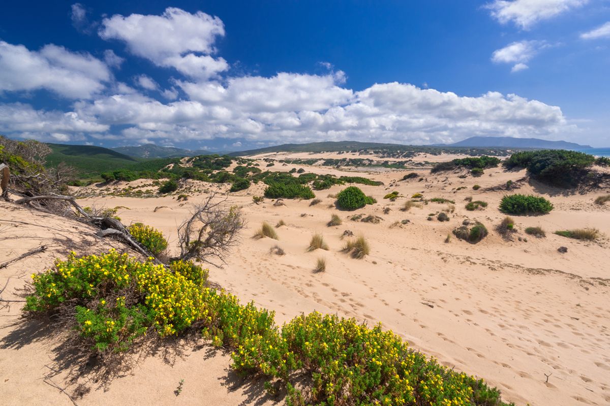 deserti_in italia_piscinas