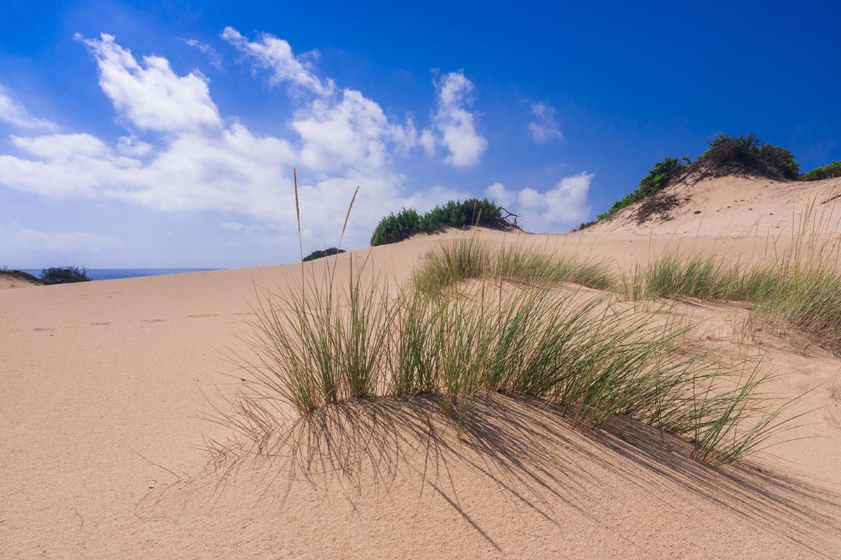 deserti_in italia_trekking