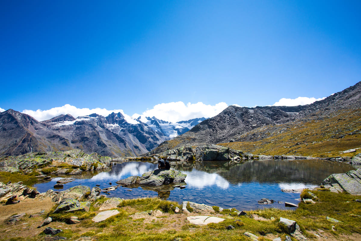 Ecco cosa si trova all'interno del regno della natura tra cervi e
